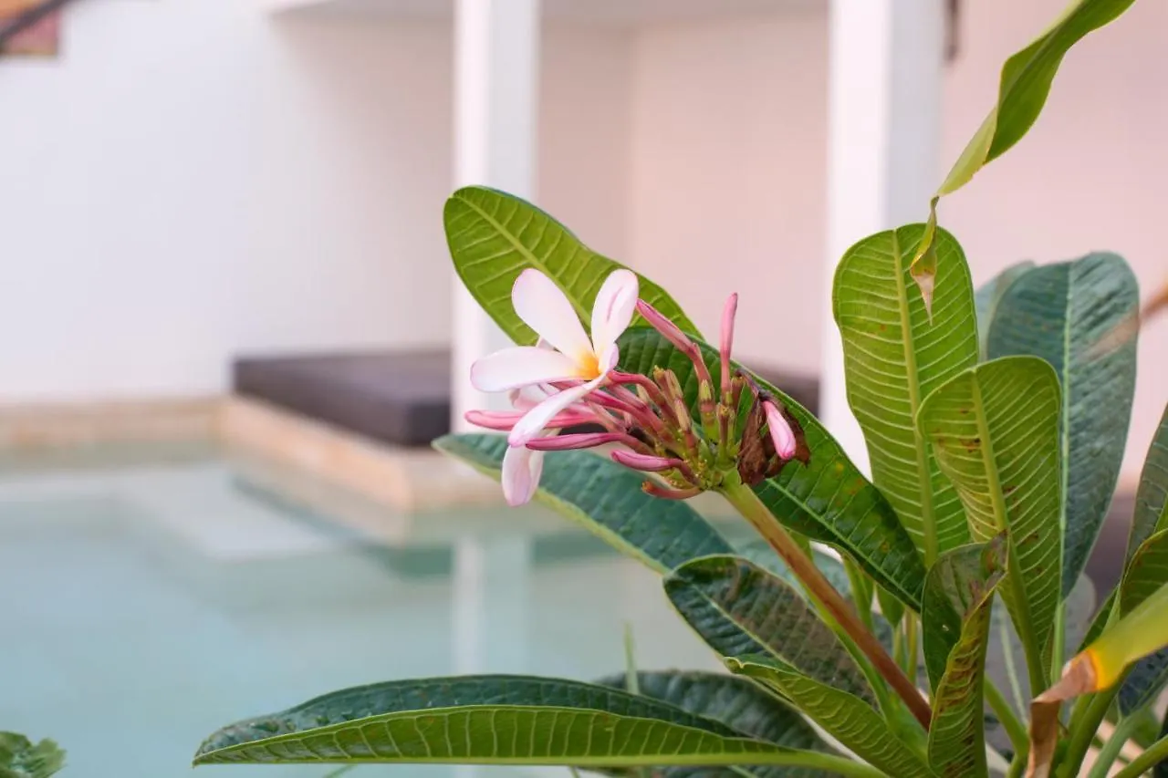 וילמסטאד Boho Bohemian Boutique Hotel